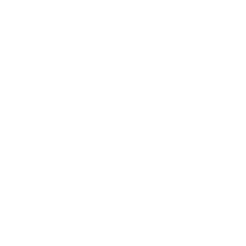 photo image of lead monkey marketing logo
